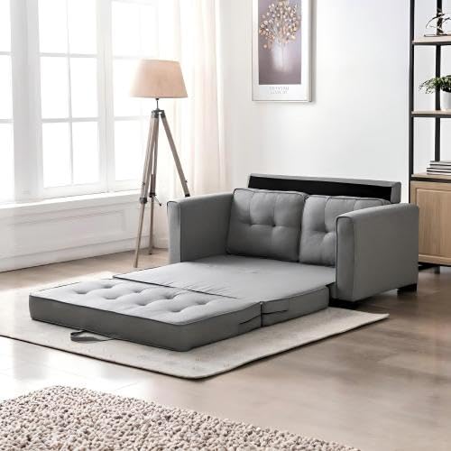 Convertible Futon Sofa Bed V209