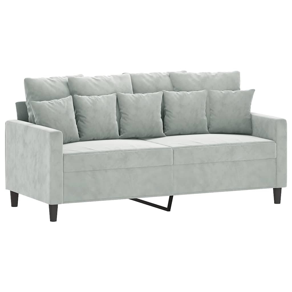 Light Gray Velvet 2-Seater Sofa V9469