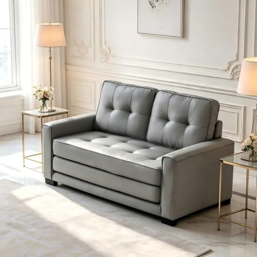 Convertible Futon Sofa Bed V209