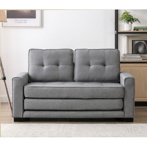 Convertible Futon Sofa Bed V209
