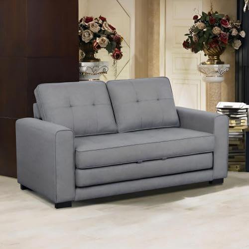 Convertible Futon Sofa Bed V209