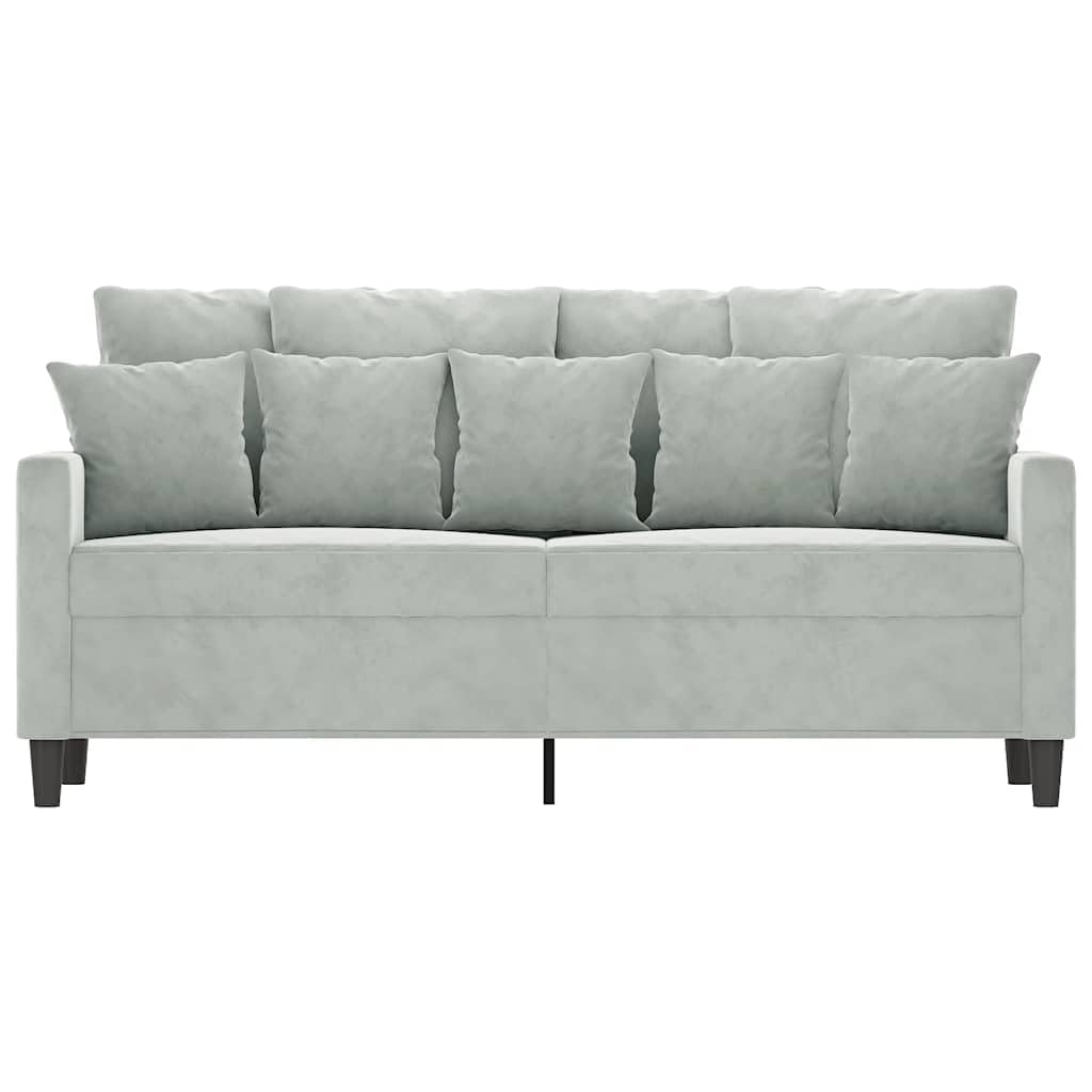 Light Gray Velvet 2-Seater Sofa V9469