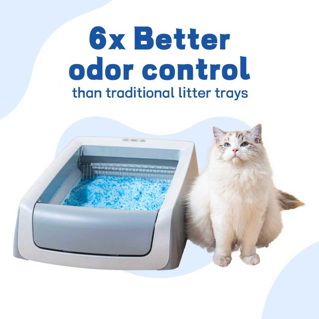 Cat Litter & Disposable Litter Trays 5 Sets F89101