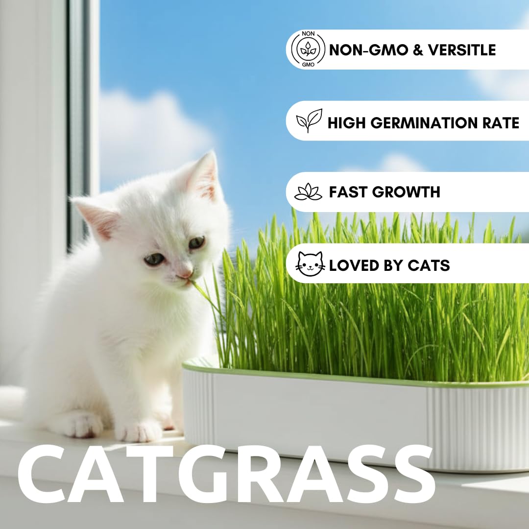 Hydroponic Cat Grass Grow Kit with 2 Oz Non-GMO Seeds C20198