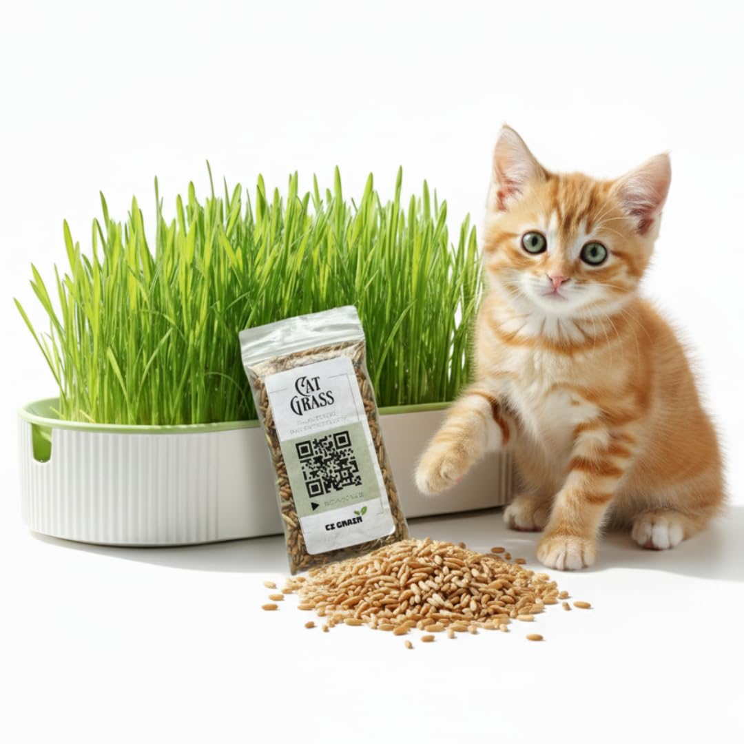 Hydroponic Cat Grass Grow Kit with 2 Oz Non-GMO Seeds C20198