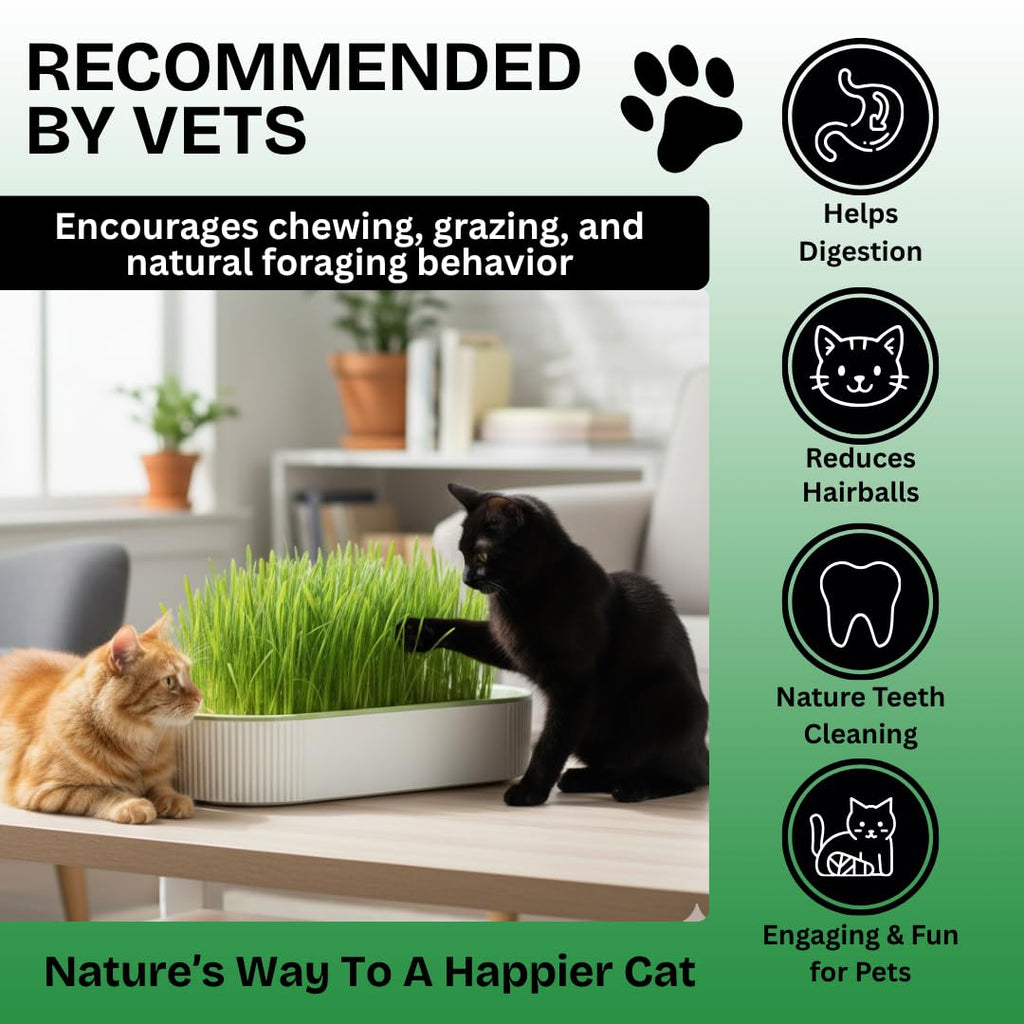 Hydroponic Cat Grass Grow Kit with 2 Oz Non-GMO Seeds C20198