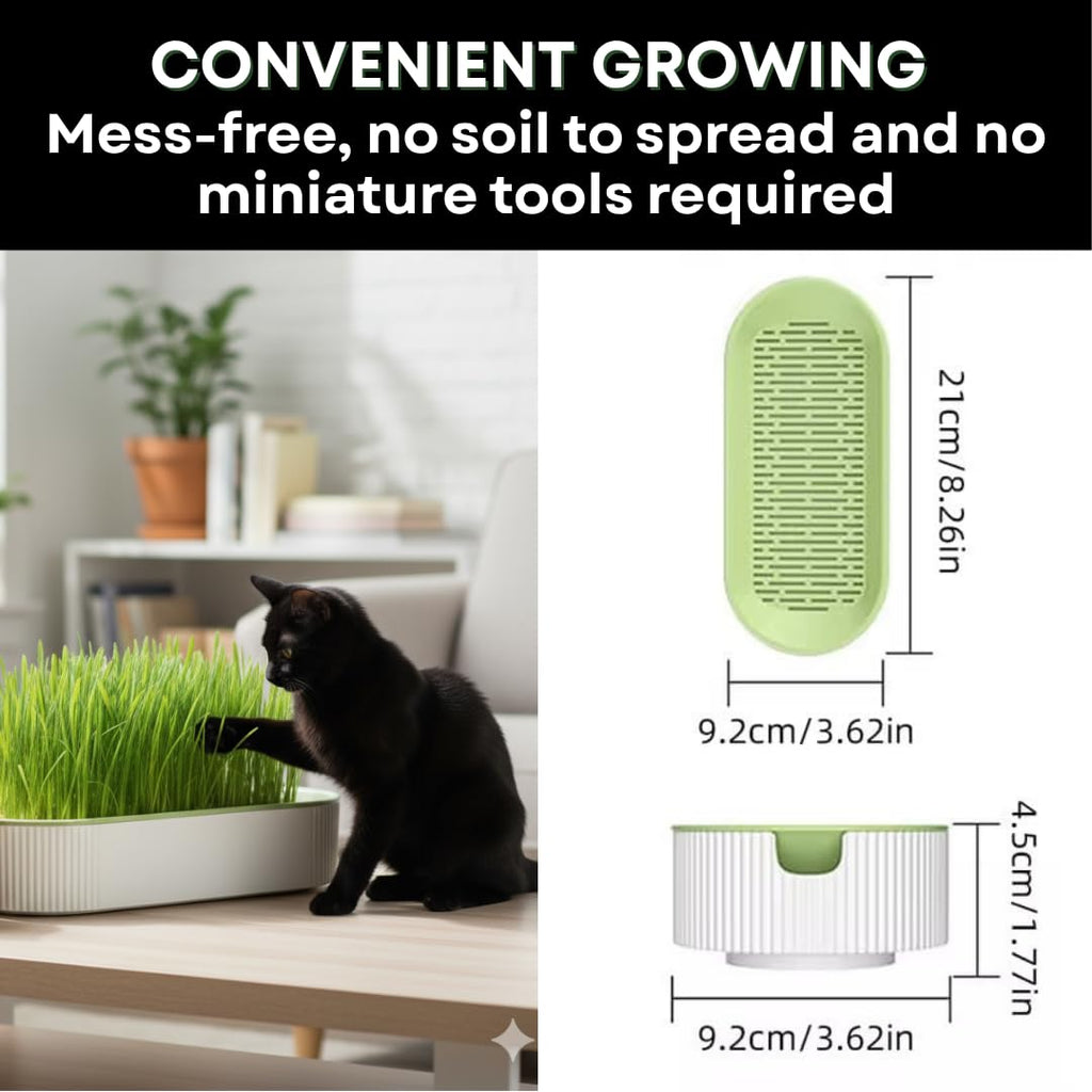 Hydroponic Cat Grass Grow Kit with 2 Oz Non-GMO Seeds C20198