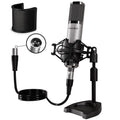 XLR Condenser Microphone with Desktop Stand L1408