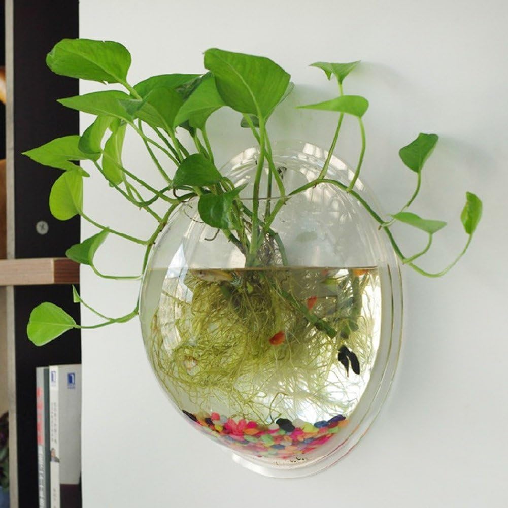 Wall Mounted Acrylic Fish Bowl L4190