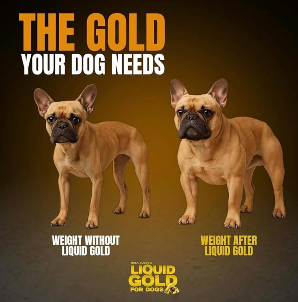 Weight Gainer for Dogs D37877