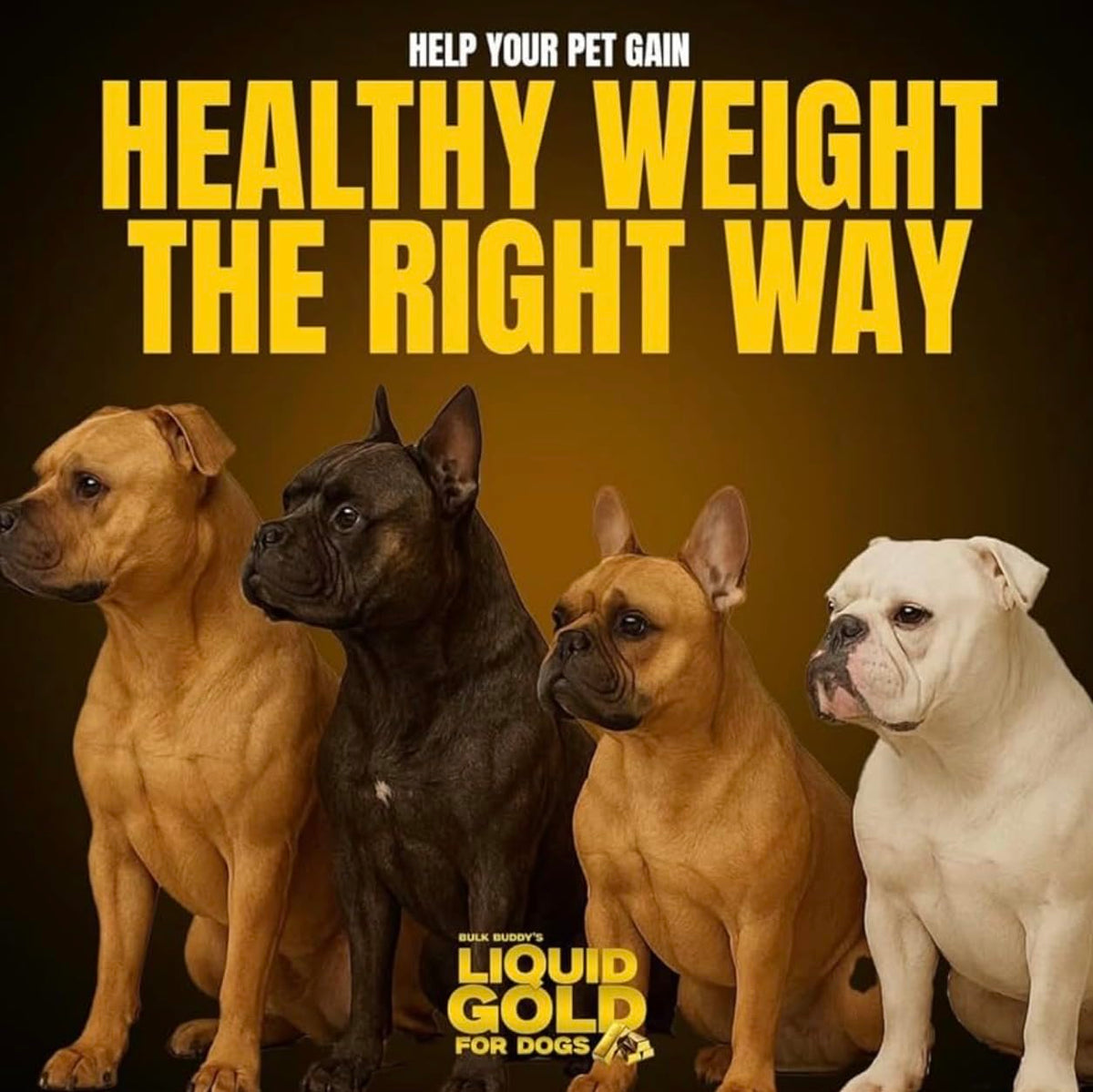 Weight Gainer for Dogs D37877