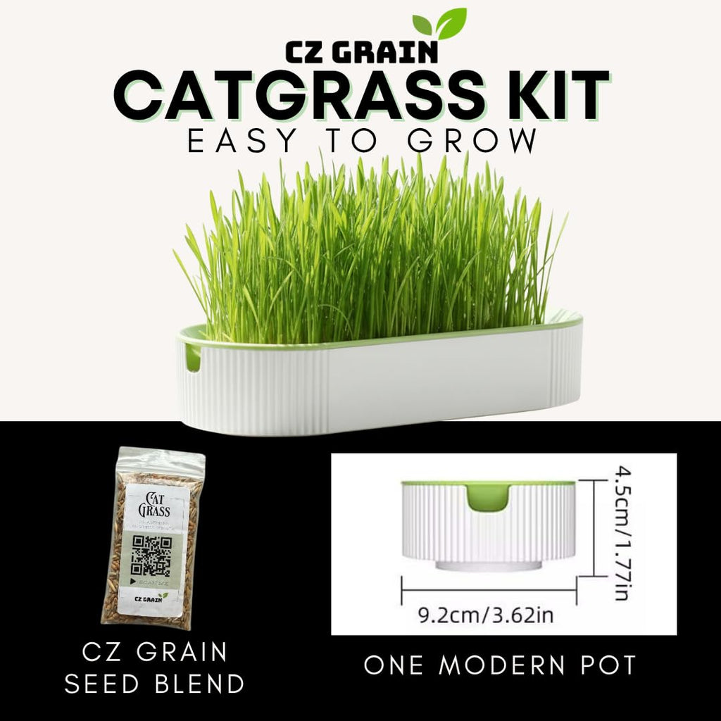 Hydroponic Cat Grass Grow Kit with 2 Oz Non-GMO Seeds C20198