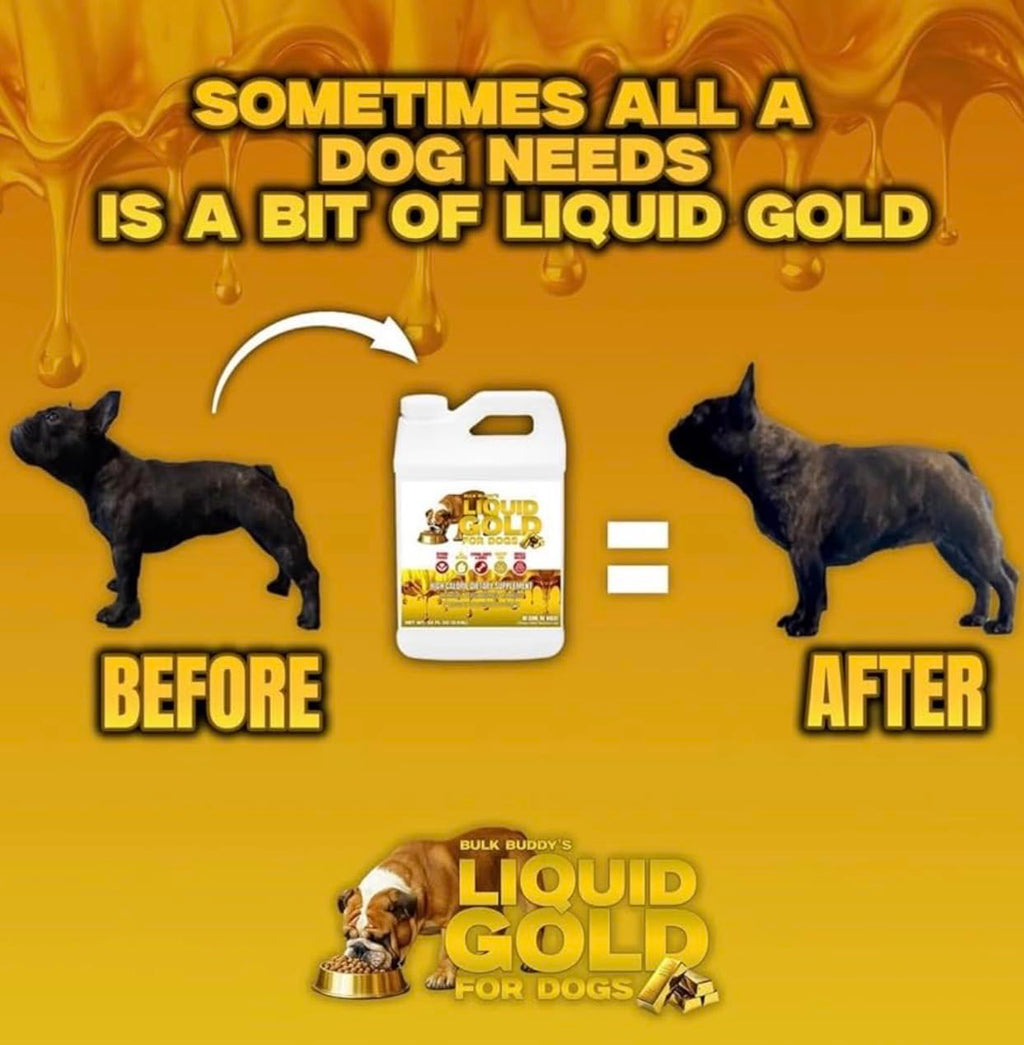 Weight Gainer for Dogs D37877
