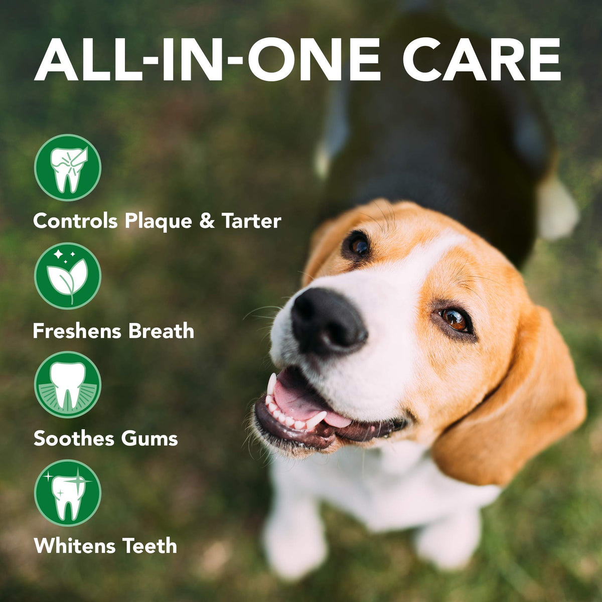 Cat & Dog Dental Powder 192 Servings + Dog Toothbrush & Toothpaste Kit U796888