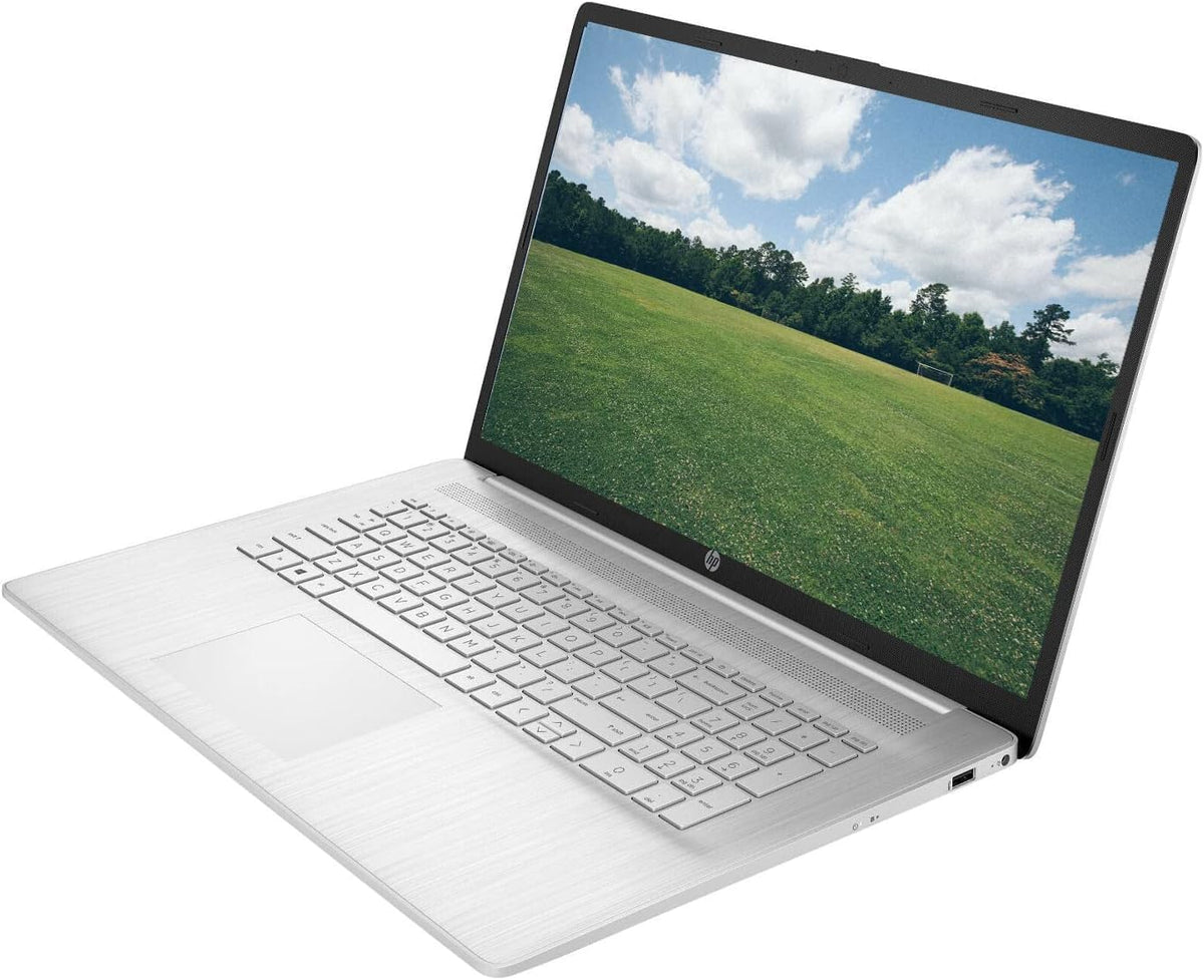 17.3" Touchscreen Laptop AMD Ryzen 5 16GB RAM 1TB SSD Natural Silver X7738