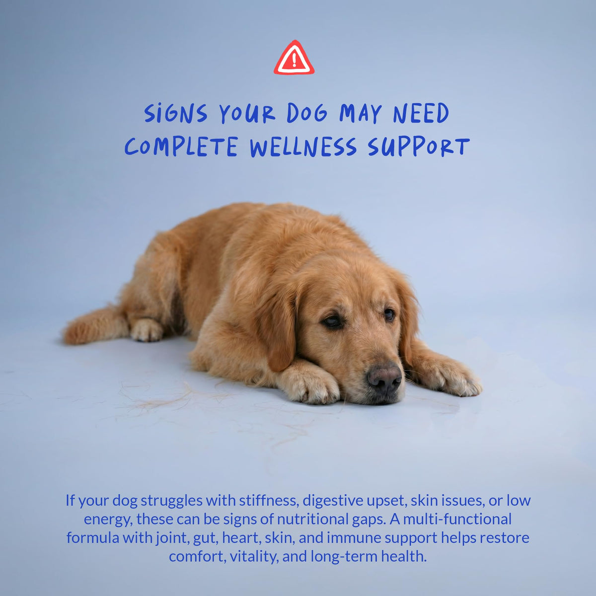 Multivitamin for Dogs 120 Tablets N80991