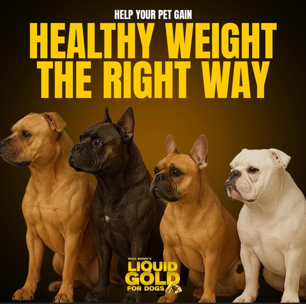 Weight Gainer for Dogs D37877