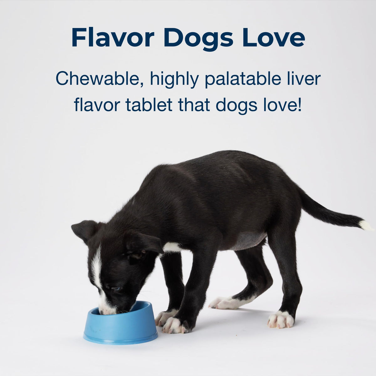 100 Chewable Tablets with Calcium, Phosphorus, and Vitamins A & D R139