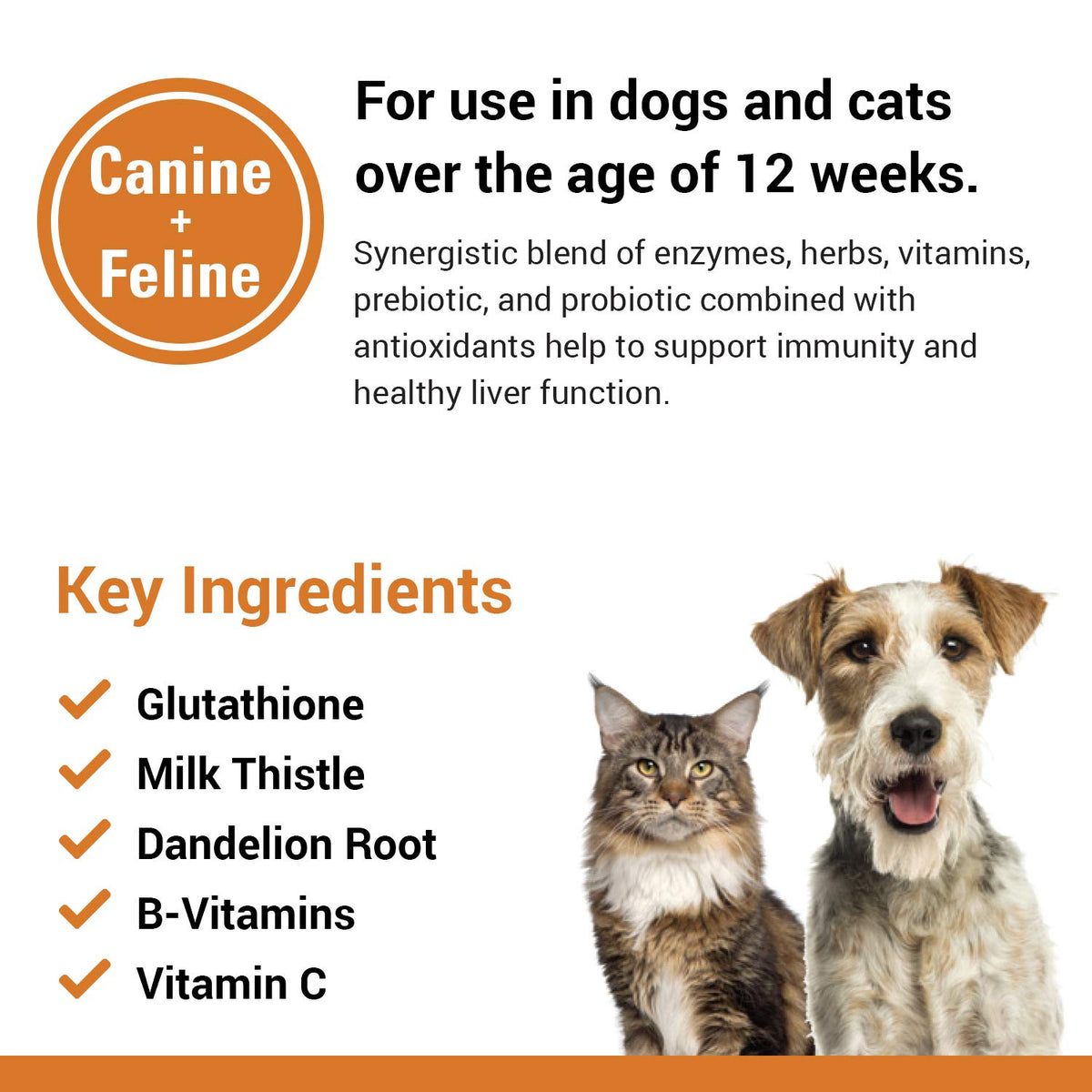 Liver Support Pet Health Supplement 60 Ct Q898