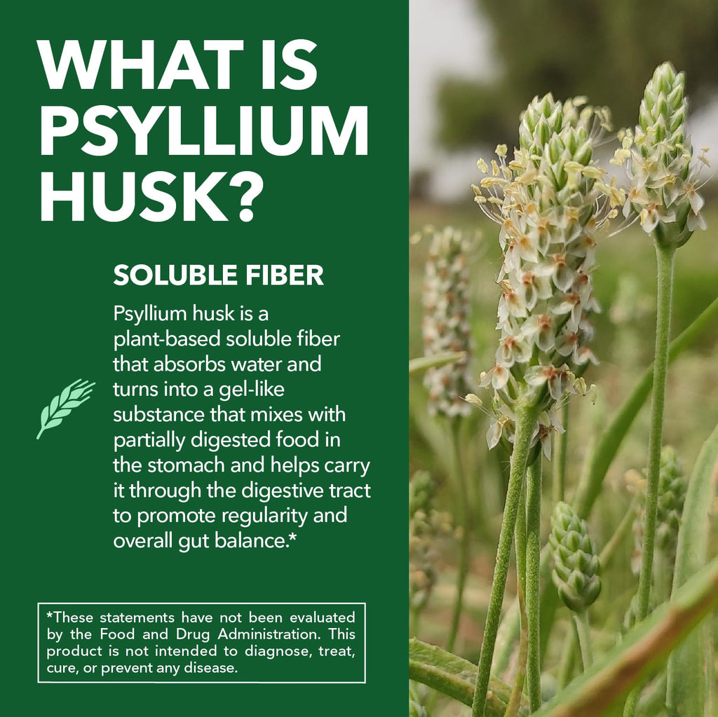 Vegan Psyllium Husk Fiber Capsules 270 Pills B438436