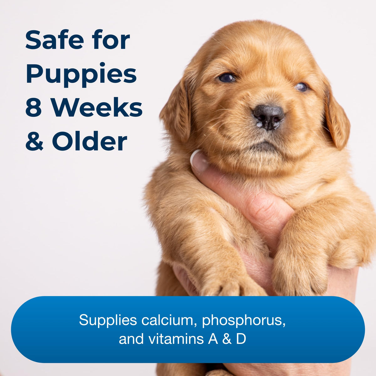 100 Chewable Tablets with Calcium, Phosphorus, and Vitamins A & D R139