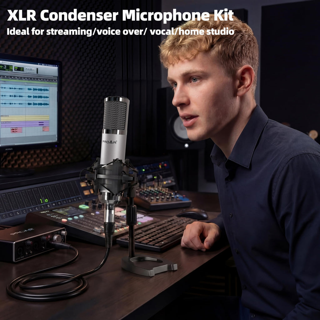 XLR Condenser Microphone with Desktop Stand L1408