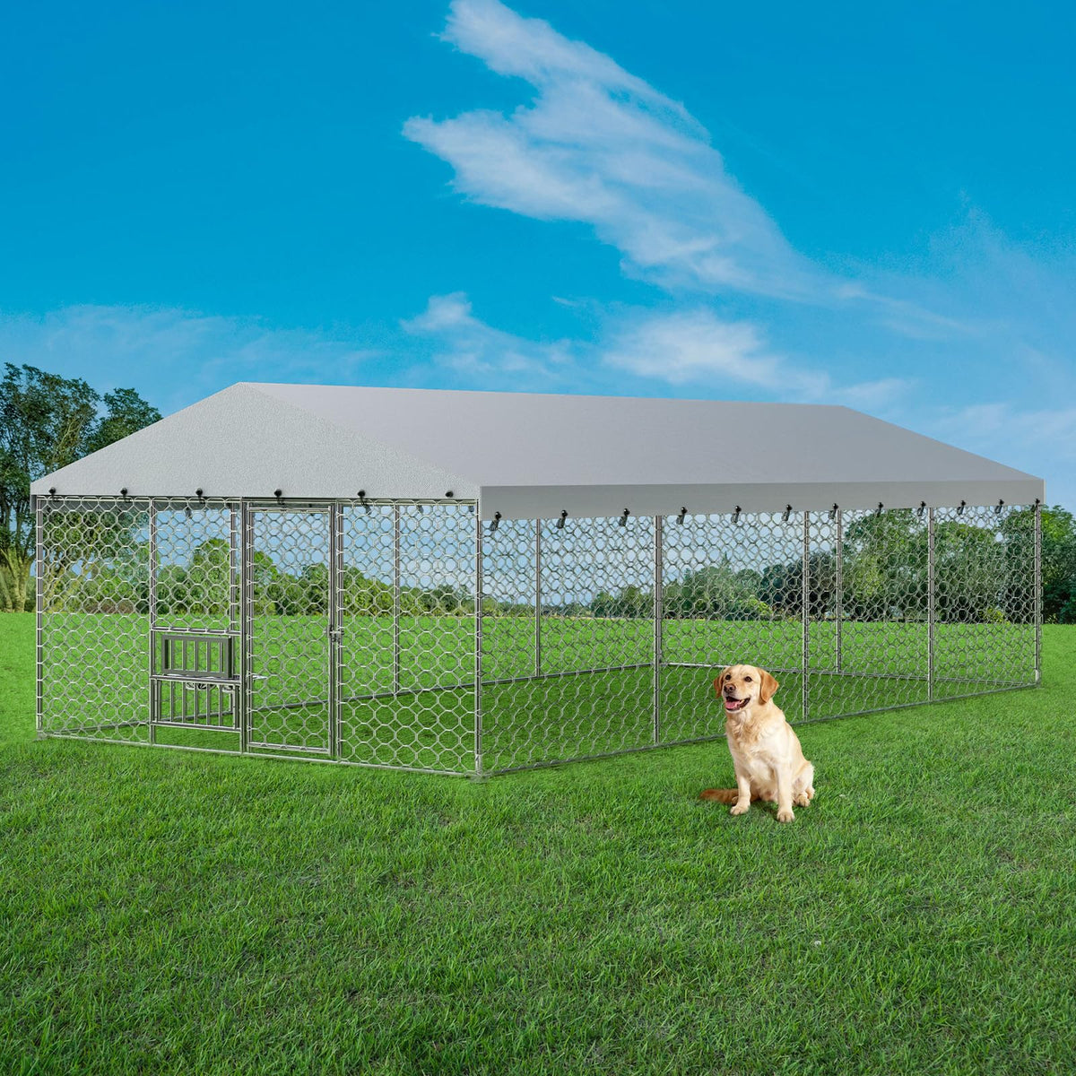 10×20FT Heavy Duty Chain Link Dog Kennel with Roof P3364