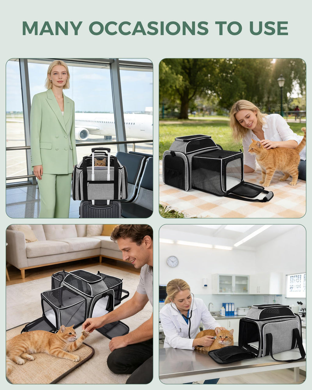 Airline Approved Soft Side Pet Carrier with Fleece Pad V337
