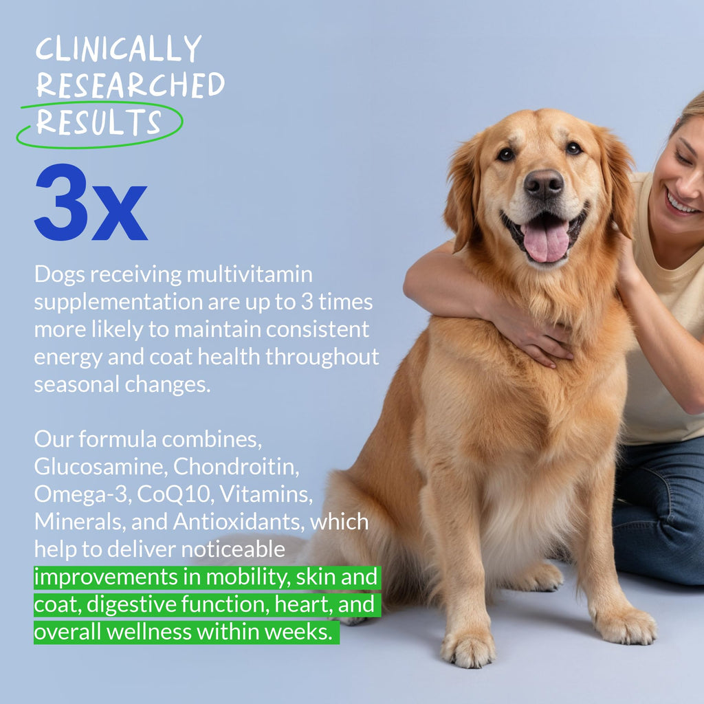 Multivitamin for Dogs 120 Tablets N80991
