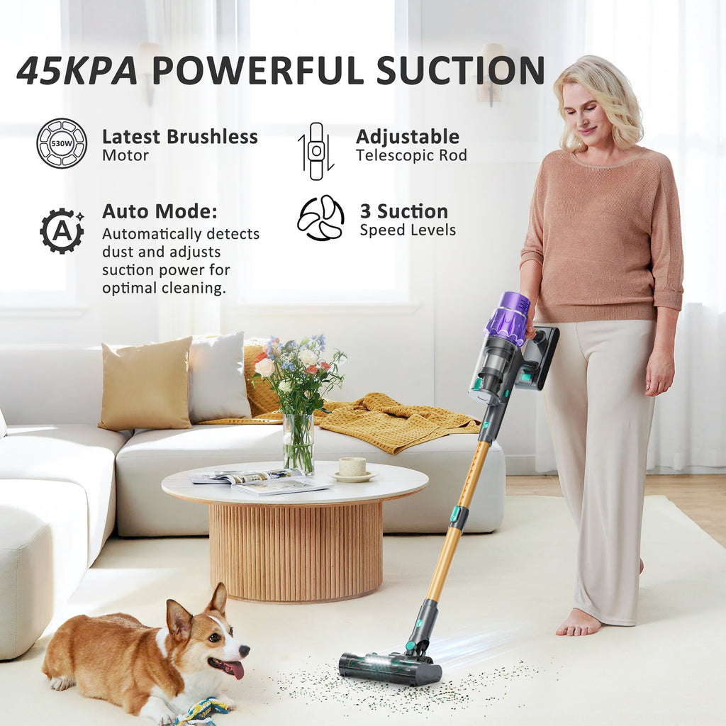 Cordless Stick Vacuum Cleaner Z5579