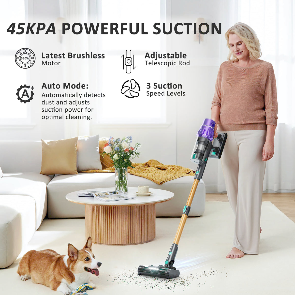 Cordless Stick Vacuum Cleaner Z5579
