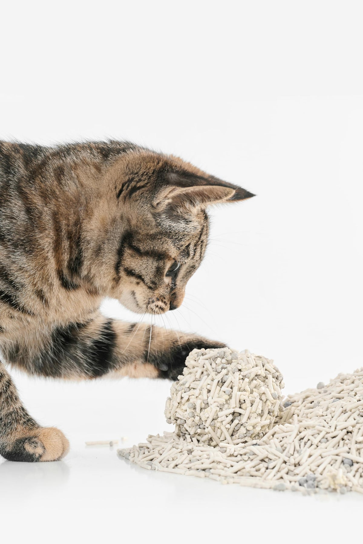 Tofu Cat Litter with Bentonite Clumping Plant Based 4Pack R91416