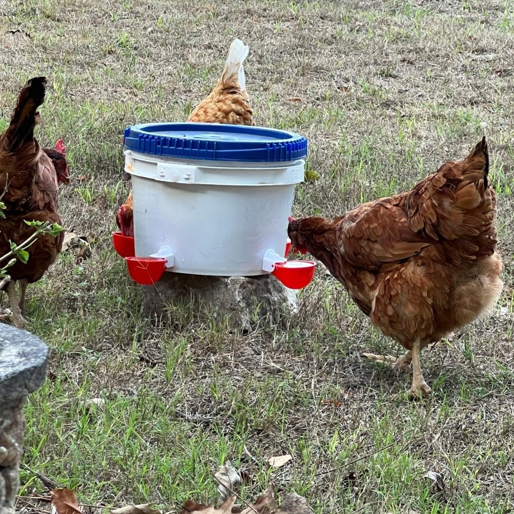 12 Pack Poultry Waterer Cups with Drill J3912