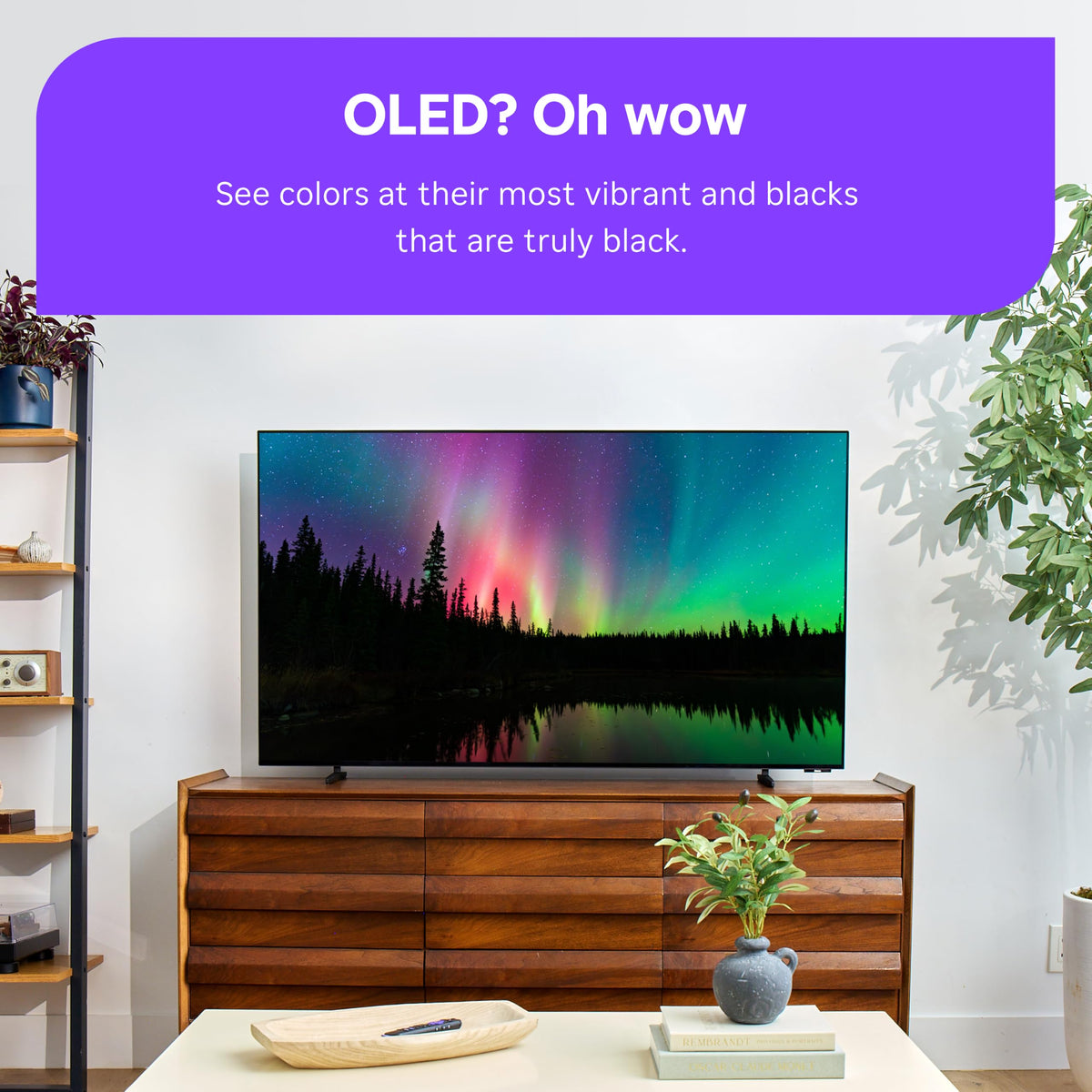 65-Inch 4K OLED 120Hz Smart TV S499278