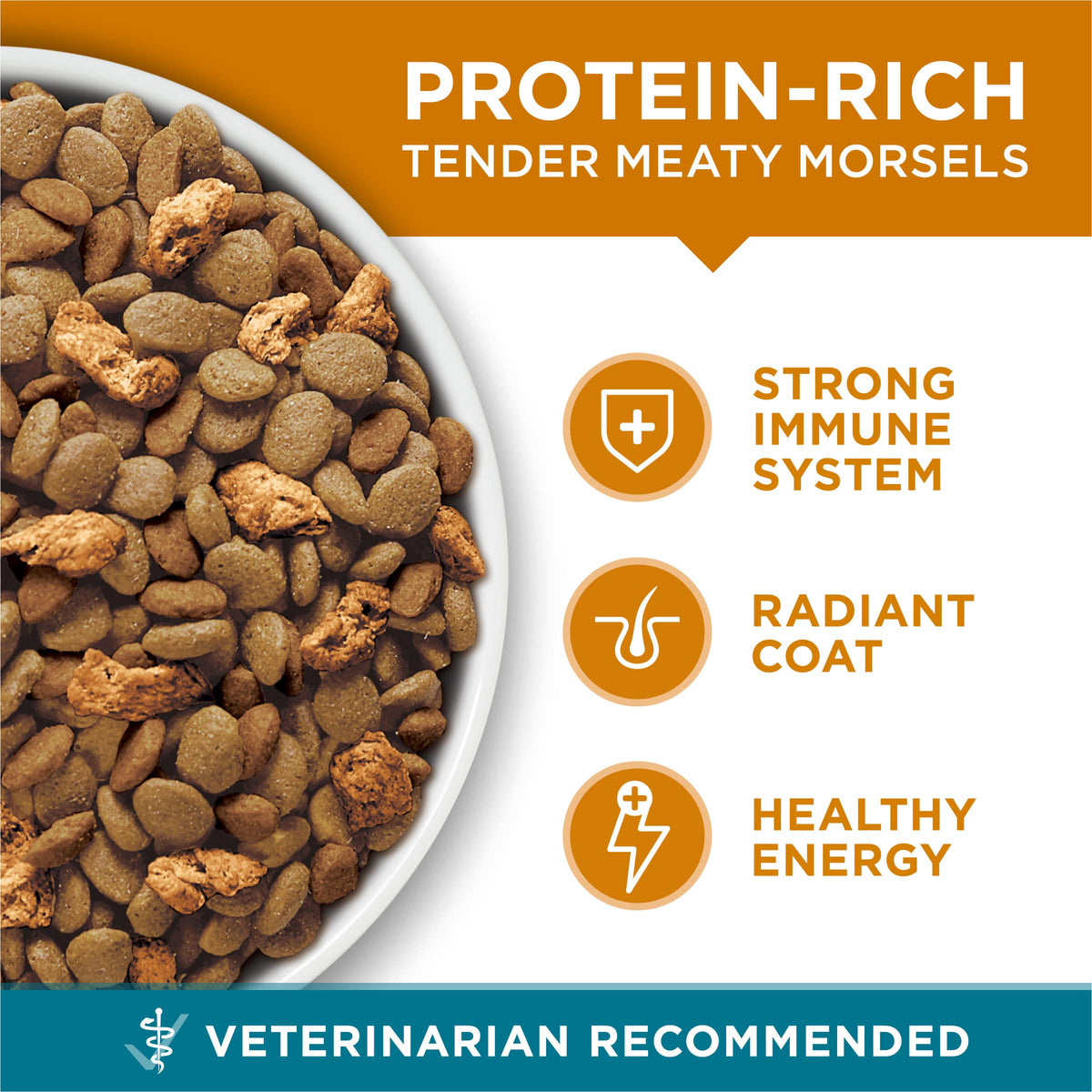 Dry Cat Food Chicken 7 lb Bag I99064