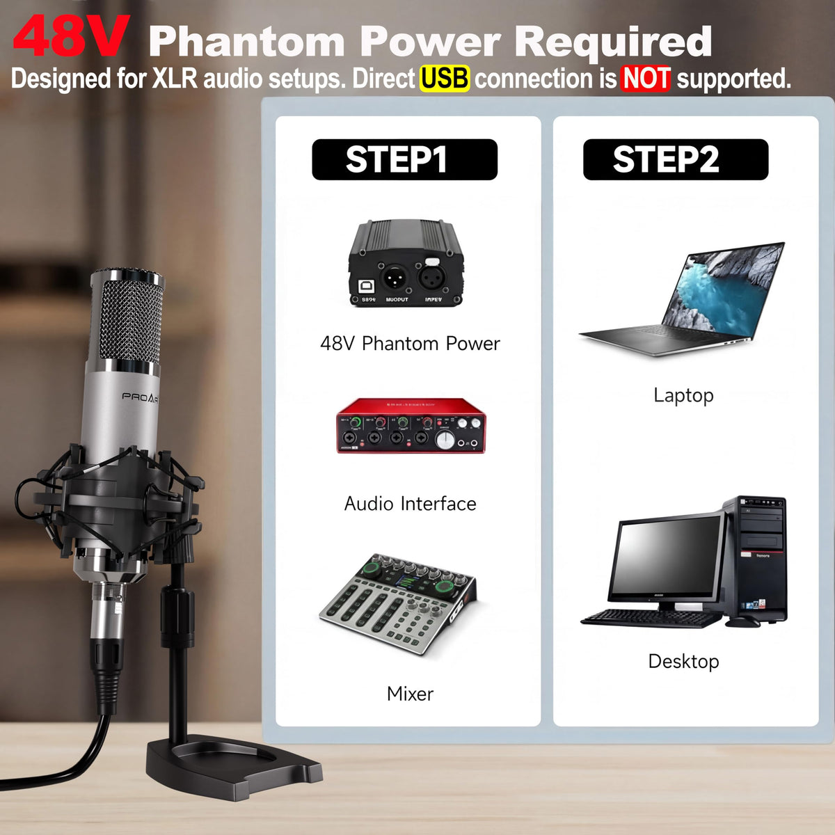 XLR Condenser Microphone with Desktop Stand L1408