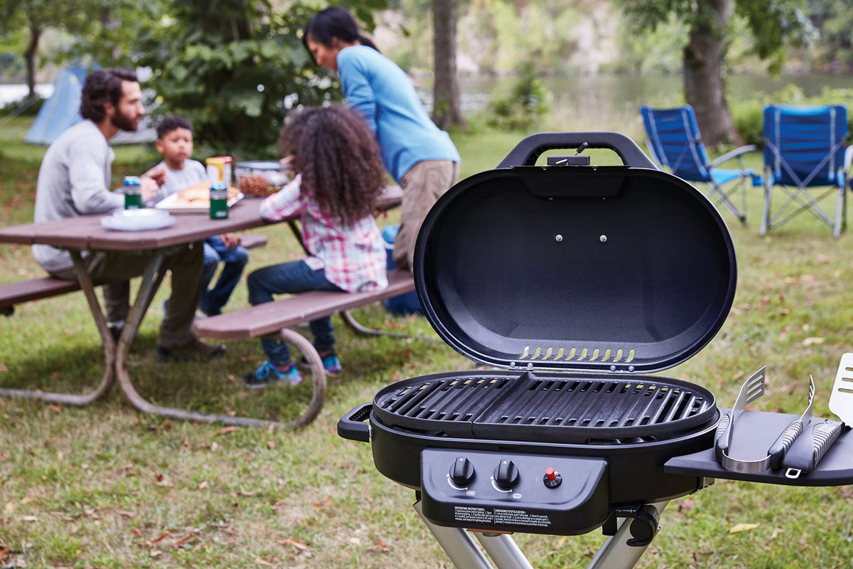 Portable 2-Burner Propane Gas Grill Q561651
